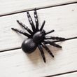 Большой паук из пластика на Хэллоуин 15х10 см (B903)