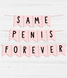 Гирлянда-флажки для девичника "Same Penis Forever" (B402) B402 фото 3
