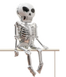Воздушный шар - фигура скелет на Хэллоуин 158х90 см (H6791) H6791 фото