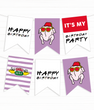 Бумажная гирлянда для вечеринки в стиле сериала Друзья "Happy Birthday" 12 флажов (F3315)