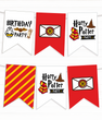 Паперова гірлянда з прапорців "Harry Potter" 12 прапорців (02217)