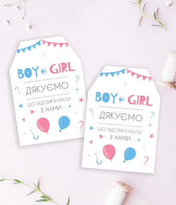 Набор ярлычков для подарков гостям гендер пати "Boy or Girl" (10 шт.) 04924 фото