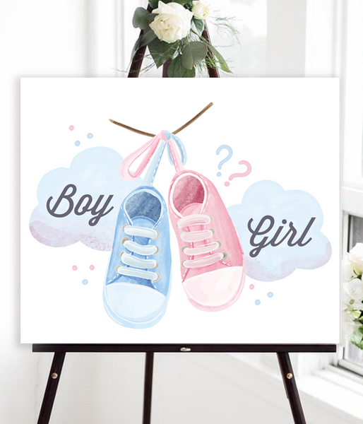 Плакат из пластика на Гендер Пати "GIRL or BOY" 50x60 см (04926) 04926 фото