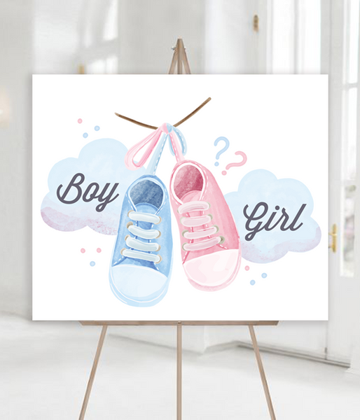 Плакат из пластика на Гендер Пати "GIRL or BOY" 50x60 см (04926) 04926 фото