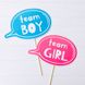 Фотобутафория-таблички для гендер пати "Team Boy" и "Team Girl" 2 шт (04918) 04918 фото 2
