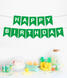 Гирлянда из флажков "Happy Birthday!" зеленая с белыми буквами (04523) 04523 фото 1