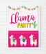 Постер для прикраси свята "Llama Party" 2 розміри (M0810) M0810 фото 3