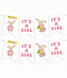 Гирлянда на Baby Shower "It's a Girl" 8 флажков (03093) 03093 фото 1