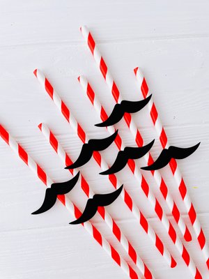 Бумажные трубочки с усами (10 шт.) straws-202 фото
