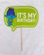 Табличка для фотосессии "IT'S MY BIRTHDAY" (03907) 03907 фото 2