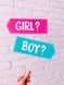 Набір фотобутафоріі для гендер паті "BOY OR GIRL" 11 шт (079011) 079011 фото 6