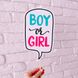 Набір фотобутафоріі для гендер паті "BOY OR GIRL" 11 шт (079011) 079011 фото 4