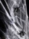 Паутина "Spider Webs" для Хэллоуина с двумя пауками белая (T77) T77 фото 4