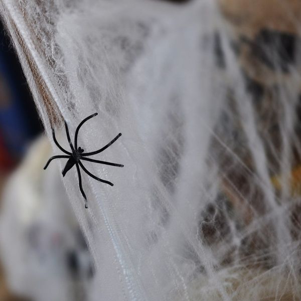 Паутина "Spider Webs" для Хэллоуина с двумя пауками белая (T77) T77 фото