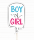 Табличка для фотосессии "BOY OR GIRL" для гендер пати (90-410) 90-410 фото 1