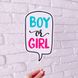 Табличка для фотосессии "BOY OR GIRL" для гендер пати (90-410) 90-410 фото 2