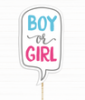 Табличка для фотосессии "BOY OR GIRL" для гендер пати (90-410) 90-410 фото