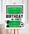 Постер-табличка из пластика для футбольной вечеринки "Birthday Party" 40x50 см (F70081)