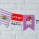 Бумажная гирлянда для вечеринки в стиле сериала Друзья "Happy Birthday" 12 флажов (F3315) F3315 фото 9