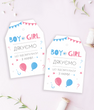 Набор ярлычков для подарков гостям гендер пати "Boy or Girl" (10 шт.)