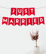 Паперова гірлянда на весілля "Just married" (02231)