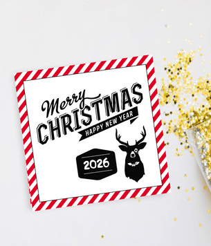 Новогодняя открытка c оленем "Merry Christmas and Happy New Year 2026" (02743) 02743 фото