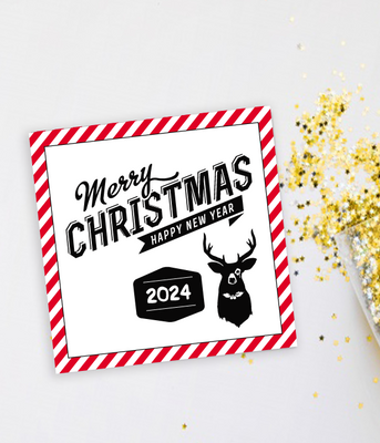Новогодняя открытка "Merry Christmas and Happy New Year 2024" (02743) 02743 фото