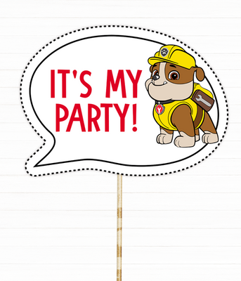 Табличка для фотосесії It's My Party! (P-201) P-201 фото