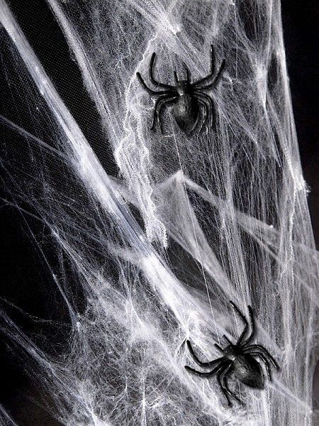 Паутина "Spider Webs" с двумя пауками белая (T77) T77 фото