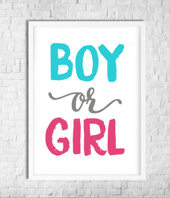 Постер для гендер паті "Boy or girl" 2 розміри (90-411) 90-411 фото