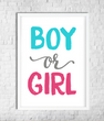 Постер для гендер пати "Boy or girl" 2 размера (90-411)